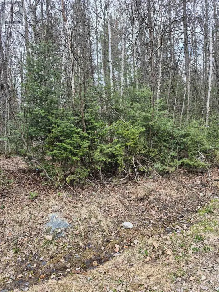 Lot 5 Arbutus Trail Mattawan ON P0H 1V0