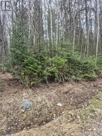 Lot 5 Arbutus Trail Mattawan ON P0H 1V0