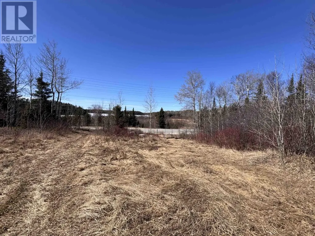 66 Highway 105 Red Lake ON P0V 2M0