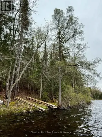 0 King Lake Machar ON P0A 1X0