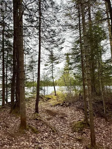 0 King Lake Machar ON P0A 1X0