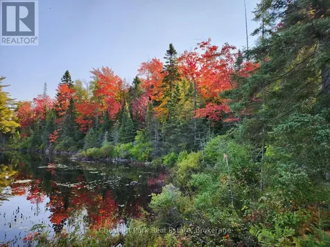 0 King Lake Machar ON P0A 1X0