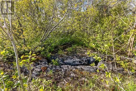 Part 1 Cape Chin North Road Northern Bruce Peninsula ON N0H 1W0