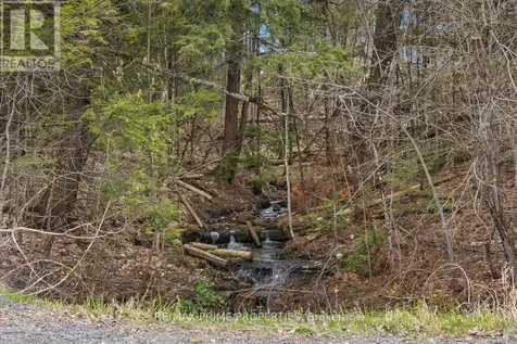 517 Wilson Road Clarence-rockland ON K4K 1K7