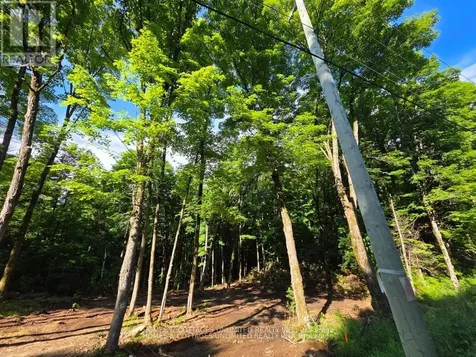 2456 Conc Dalhousie Corners Lanark Highlands ON K0G 1K0