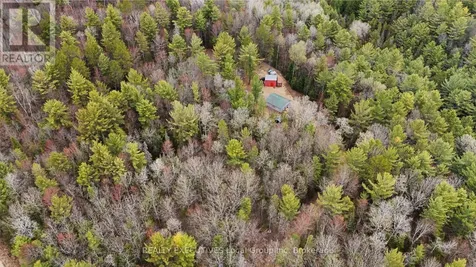 Lot 31 Pioneer Road Bonfield ON P0H 2E0