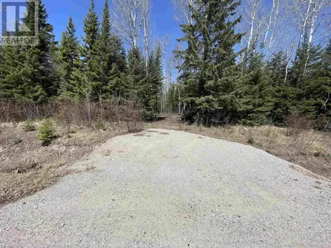 351 Thunder Lake Road Dryden ON P8N 2Y4