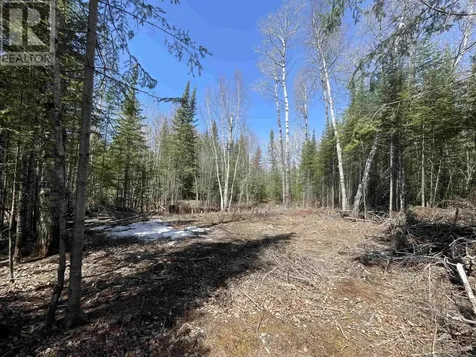 351 Thunder Lake Road Dryden ON P8N 2Y4