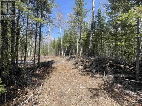 351 Thunder Lake Road Dryden ON P8N 2Y4