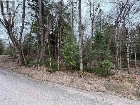 Lot 1 Loch Erne Road Mcdougall ON P2A 2W7