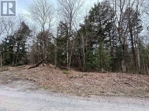 Lot 1 Loch Erne Road Mcdougall ON P2A 2W7