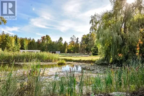 465 Ridge Road East Oro-medonte ON L0L 2E0