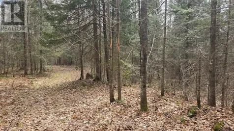 930 Ponderosa Road Nipissing ON P0H 2L0