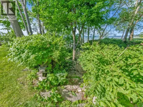 388 Seacliff Drive West Leamington ON N8H 4E1