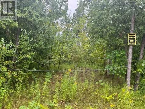 Lot 38 Sumcot Drive Trent Lakes ON K0L 1J0