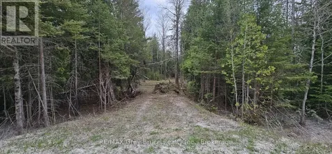 43 Hardwick Cove Road Northern Bruce Peninsula ON N0H 1W0