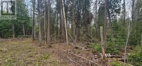 43 Hardwick Cove Road Northern Bruce Peninsula ON N0H 1W0