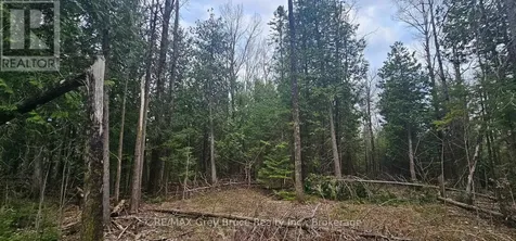 43 Hardwick Cove Road Northern Bruce Peninsula ON N0H 1W0
