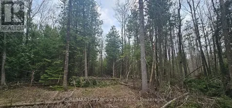 43 Hardwick Cove Road Northern Bruce Peninsula ON N0H 1W0