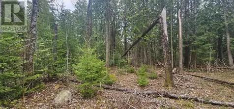 43 Hardwick Cove Road Northern Bruce Peninsula ON N0H 1W0