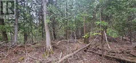 43 Hardwick Cove Road Northern Bruce Peninsula ON N0H 1W0