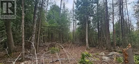 43 Hardwick Cove Road Northern Bruce Peninsula ON N0H 1W0