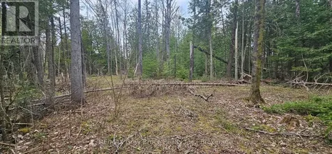 43 Hardwick Cove Road Northern Bruce Peninsula ON N0H 1W0