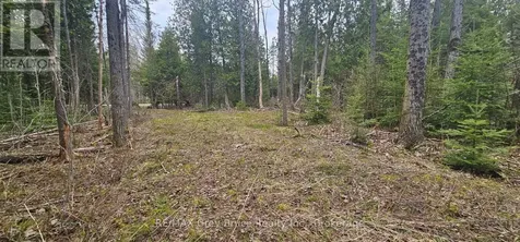 43 Hardwick Cove Road Northern Bruce Peninsula ON N0H 1W0