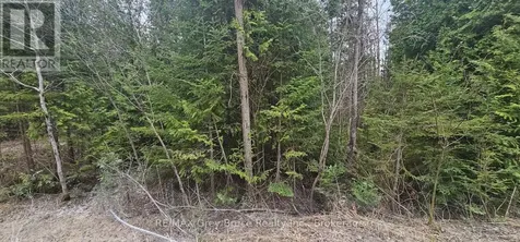 43 Hardwick Cove Road Northern Bruce Peninsula ON N0H 1W0