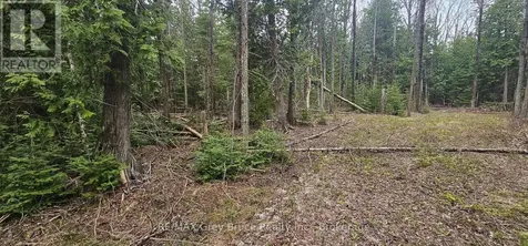 43 Hardwick Cove Road Northern Bruce Peninsula ON N0H 1W0