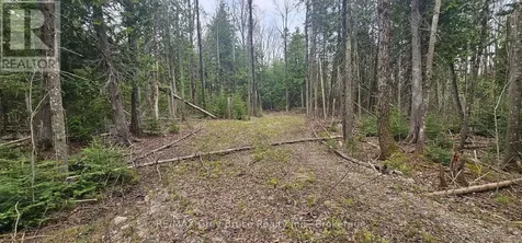 43 Hardwick Cove Road Northern Bruce Peninsula ON N0H 1W0