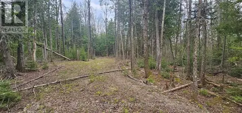 43 Hardwick Cove Road Northern Bruce Peninsula ON N0H 1W0