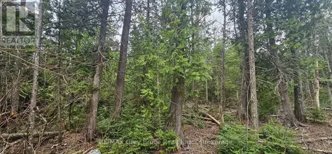 43 Hardwick Cove Road Northern Bruce Peninsula ON N0H 1W0