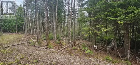 43 Hardwick Cove Road Northern Bruce Peninsula ON N0H 1W0