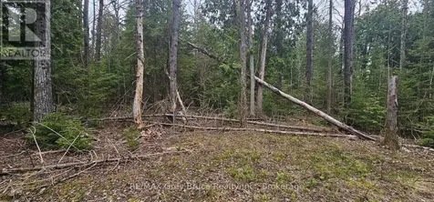 43 Hardwick Cove Road Northern Bruce Peninsula ON N0H 1W0
