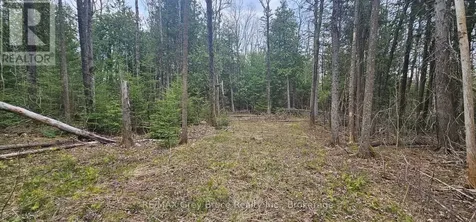 43 Hardwick Cove Road Northern Bruce Peninsula ON N0H 1W0