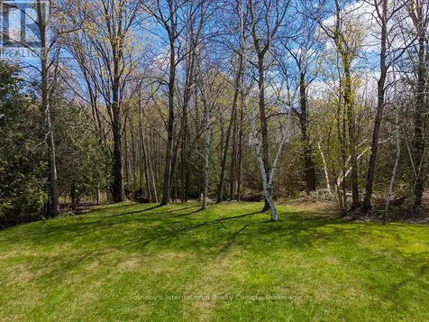 31 Slalom Gate Road Collingwood ON L9Y 5A9