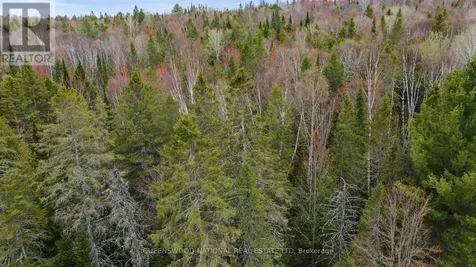 0 Siberia Road Madawaska Valley ON K0J 1B0