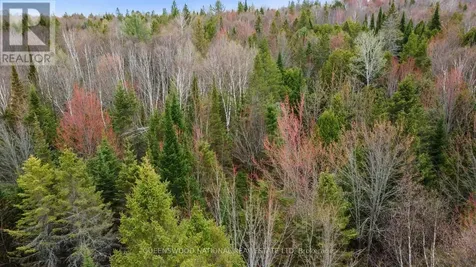 0 Siberia Road Madawaska Valley ON K0J 1B0