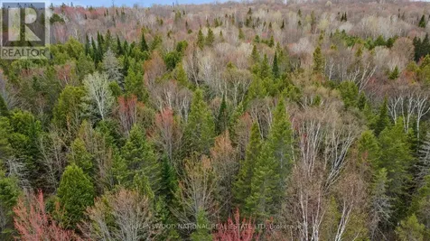 0 Siberia Road Madawaska Valley ON K0J 1B0
