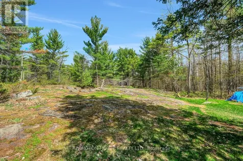 104 Tall Forest Drive Ottawa ON K0A 1L0