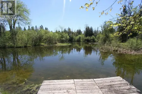 77 Mcguire Beach Road Kawartha Lakes (carden) ON K0M 2B0