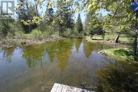 77 Mcguire Beach Road Kawartha Lakes (carden) ON K0M 2B0