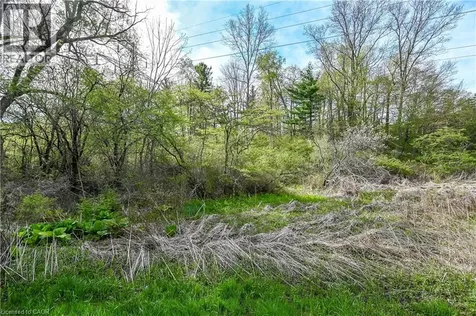 0 Mineral Springs Road Ancaster ON L9H 5E3