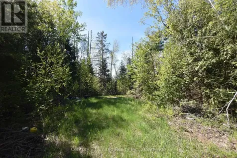 2682 N Steenburg Lake Road Wollaston ON K0L 1P0