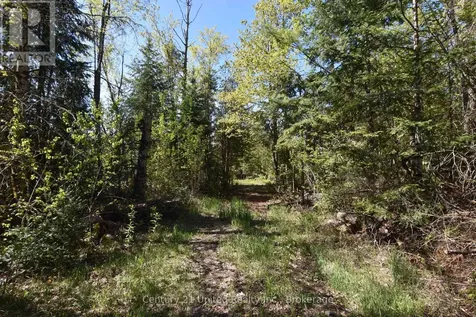 2682 N Steenburg Lake Road Wollaston ON K0L 1P0