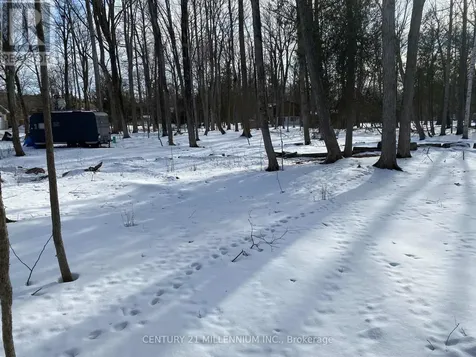 11 Knox Road East Wasaga Beach ON L9Z 2T6
