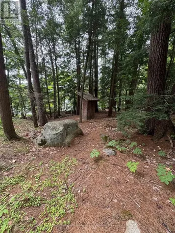 81 Amorak Trail Whitestone ON P0A 1G0