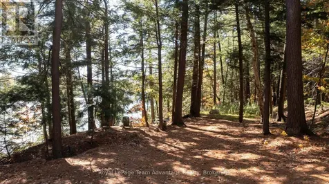 81 Amorak Trail Whitestone ON P0A 1G0