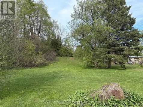 316043 Highway 6 Chatsworth ON N0H 2V0